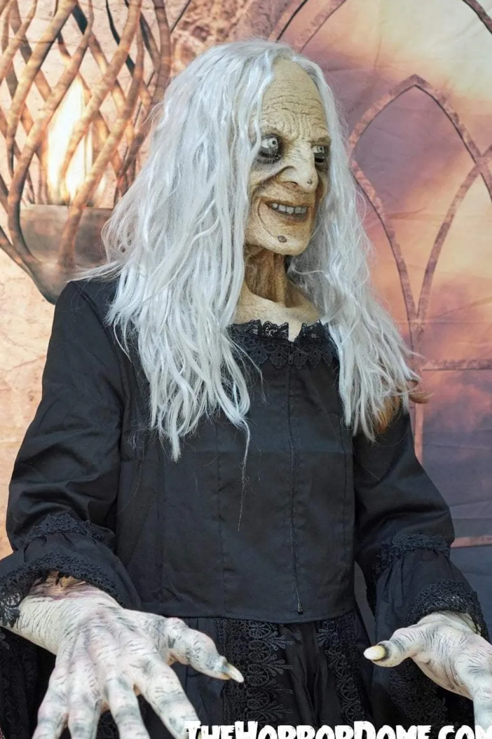 Witchy Woman HD Studios Halloween Costume