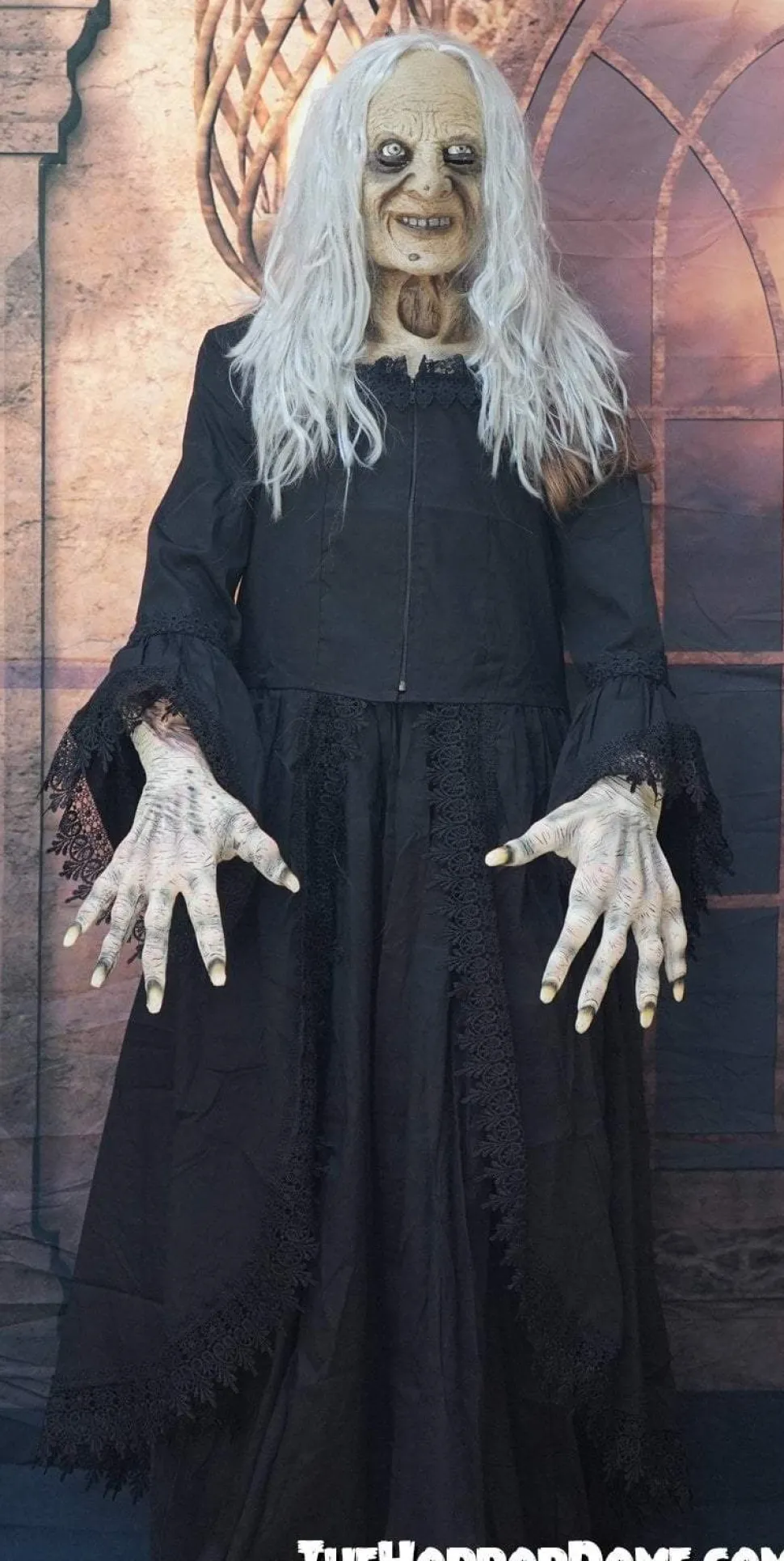 Witchy Woman HD Studios Halloween Costume