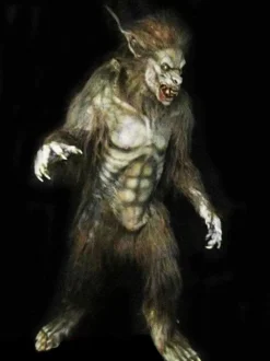 Wolf Man Professional Costume