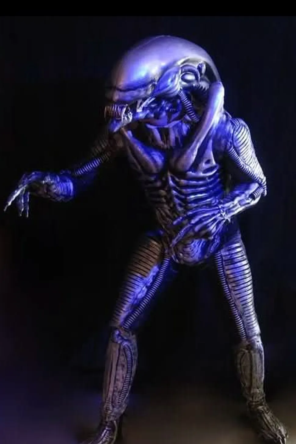 Zenomorph Professional Costume