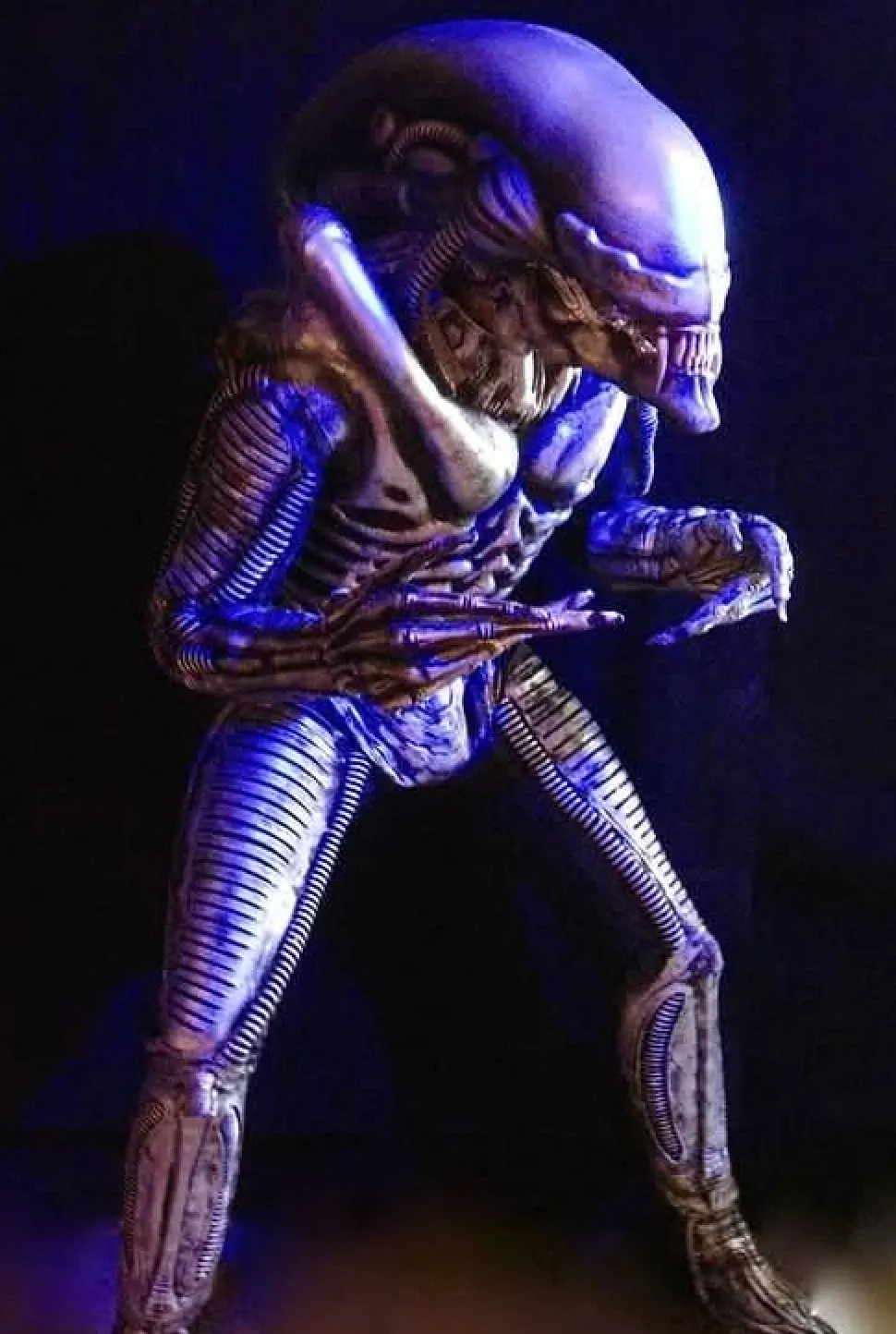 Zenomorph Professional Costume