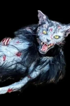 Zombie Cat HD Studios Halloween Puppet Prop