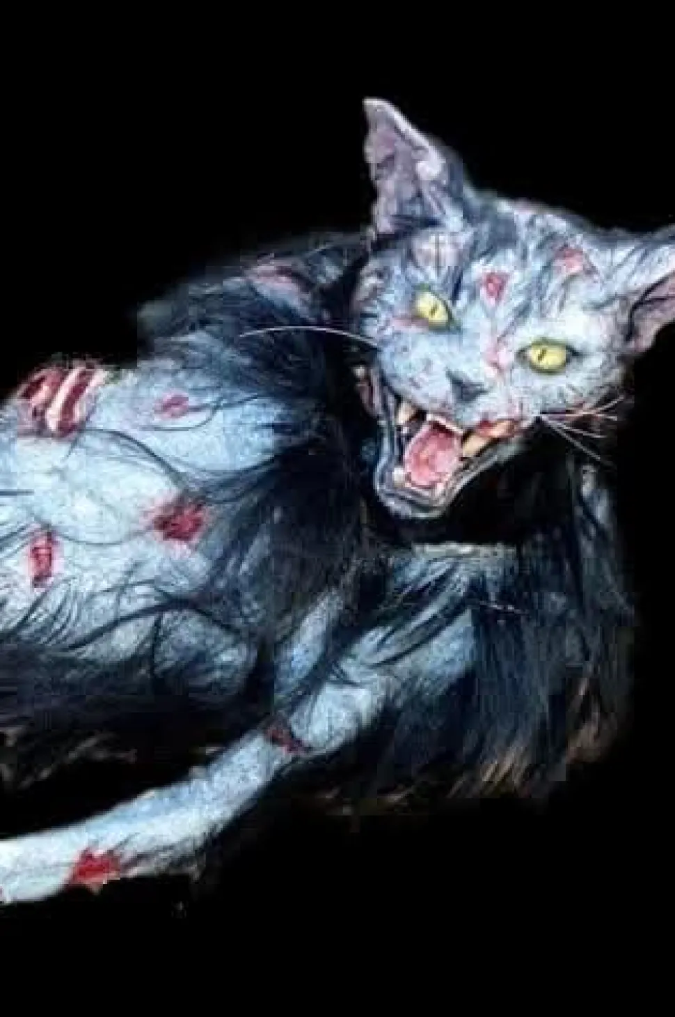 Zombie Cat HD Studios Halloween Puppet Prop