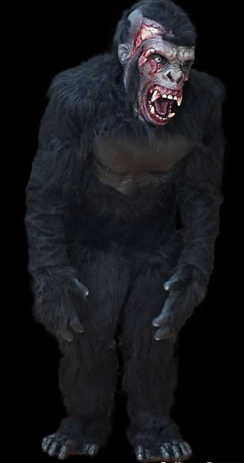 Zombie Gorilla HD Studios Pro Halloween Costume