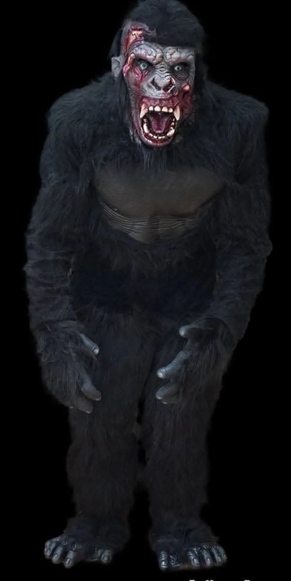 Zombie Gorilla HD Studios Pro Halloween Costume