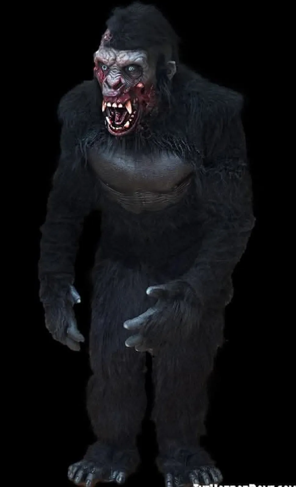 Zombie Gorilla HD Studios Pro Halloween Costume