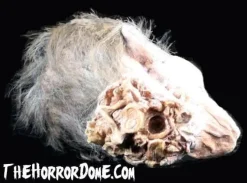 Zombie Head HD Studios Halloween Prop