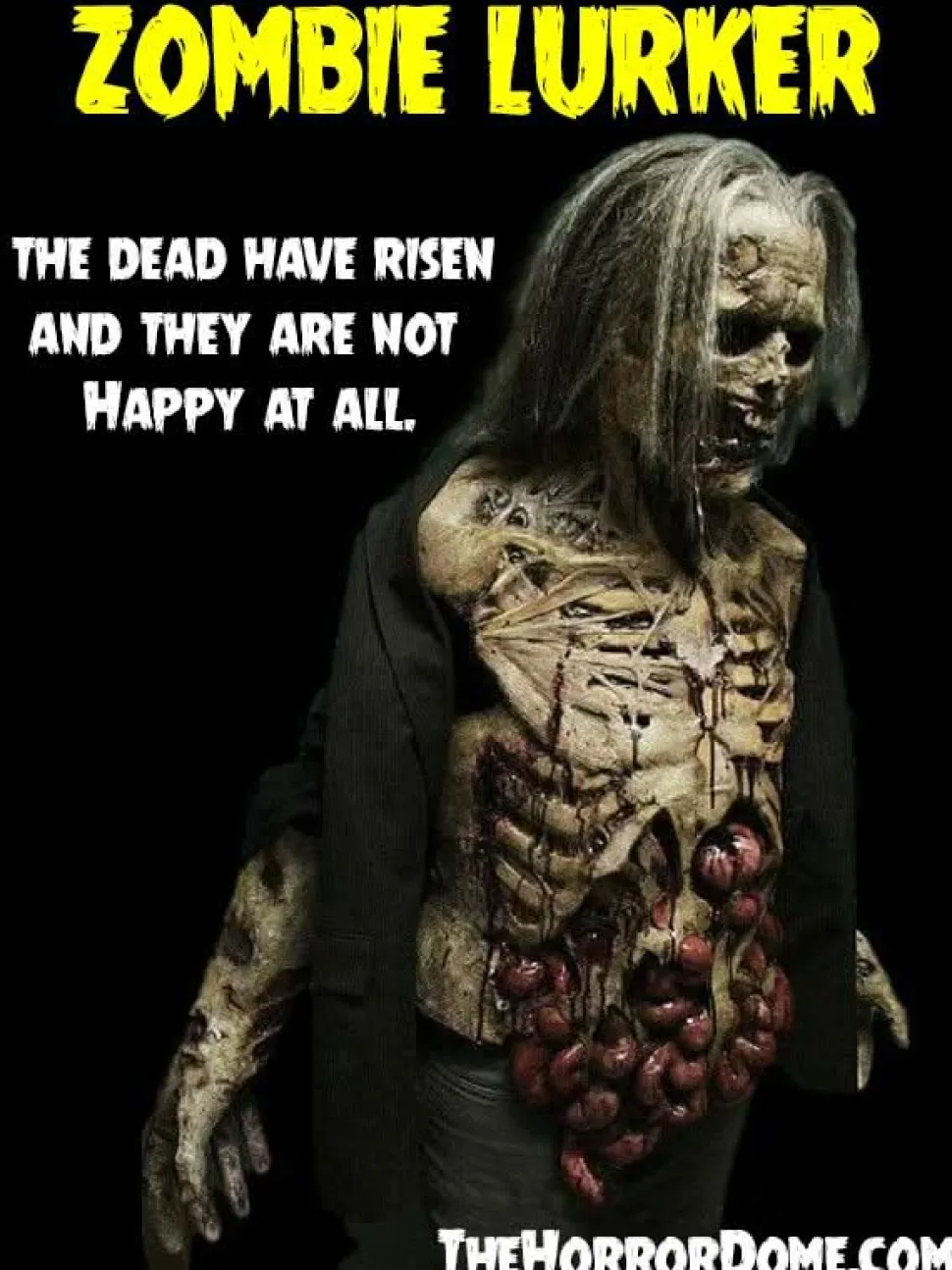 Zombie Lurker HD Studios Pro Halloween Costume