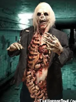 Zombie Walker HD Studios Pro Halloween Costume