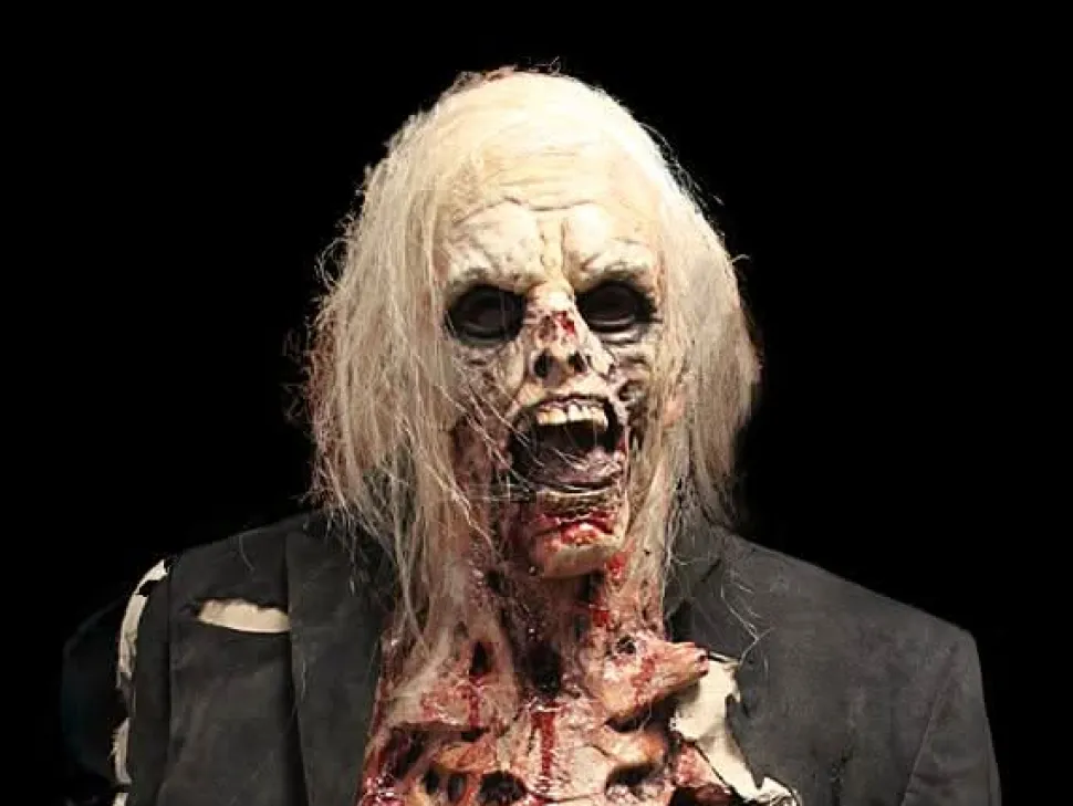Zombie Walker HD Studios Pro Halloween Costume